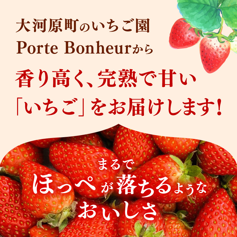 大河原町のいちご 完熟いちご 2パック 果物 フルーツ 苺 紅ほっぺ かおり みずみずしい ジューシー 期間限定 季節限定 いちご 小分け