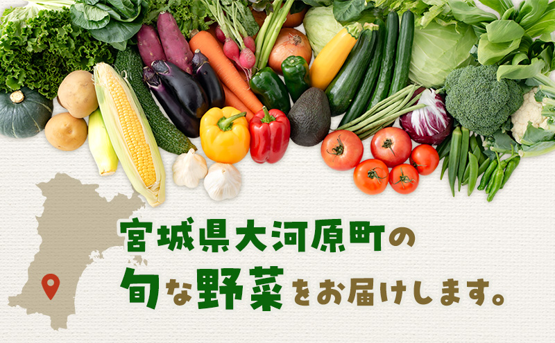 季節の野菜 野菜セットD 5種 白菜 ブロッコリー さつまいも 長ねぎ さといも 詰合せ 季節 旬 野菜 詰め合せ 国産 産地直送 秋野菜 冬野菜 葉物 冷蔵 野菜室