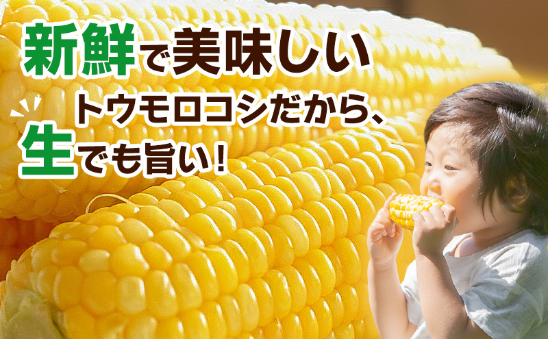 とうもろこし 味来 贈答用 20本 トウモロコシ 宮城県産 甘い 夏 朝採れ 産地直送 宮城県 大河原町
