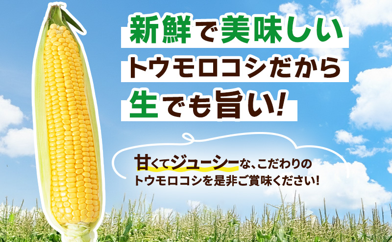 とうもろこし 味来 家庭用 20本 訳アリ トウモロコシ 宮城県産 甘い 夏 朝採れ 訳あり 産地直送 宮城県 大河原町