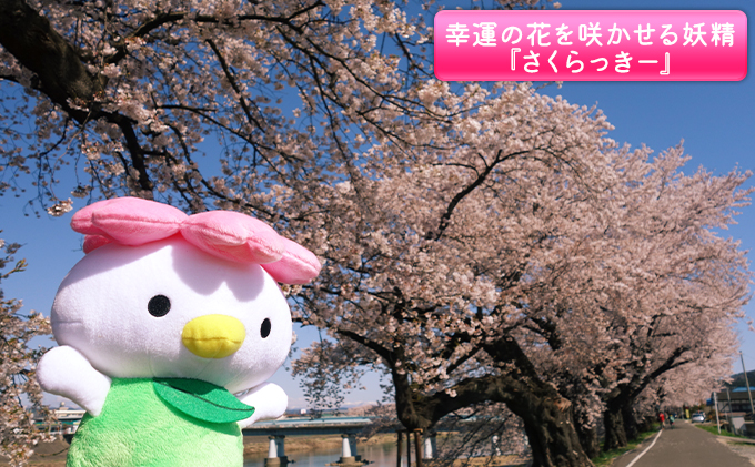 大河原町観光PRキャラクター「さくらっきー」ぬいぐるみ20c