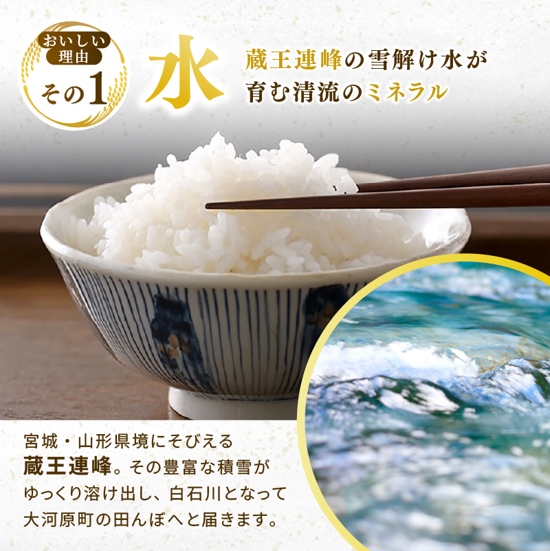 ひとめぼれ 定期便3回/5kg×2袋 令和8年産 新米 先行予約 宮城