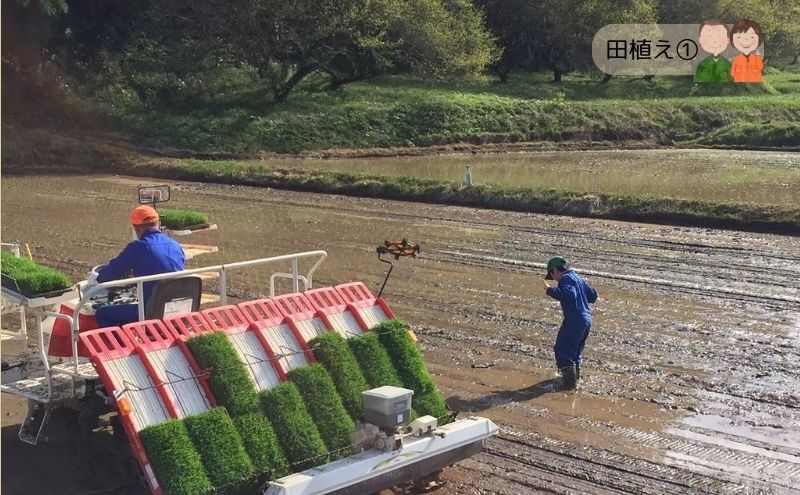 令和7年度産 宮城県大河原町産 みやこがね 7.0kg(1.4kg×5) もち米 餅米  こめ コメ モチ もち もち米 お餅 餅