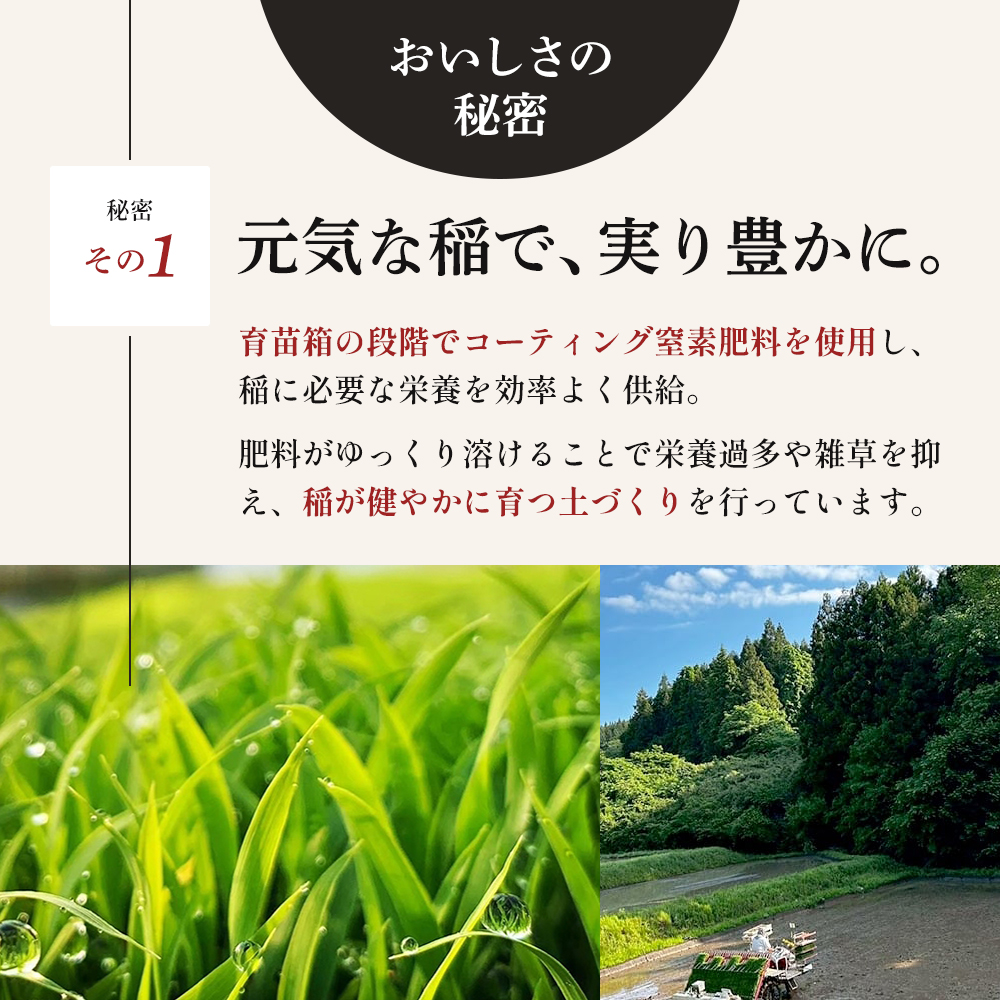 令和7年産 新米 宮城県大河原町産 ひとめぼれ 5kg 米 お米 精米 白米 こめ コメ 令和7年 宮城県産