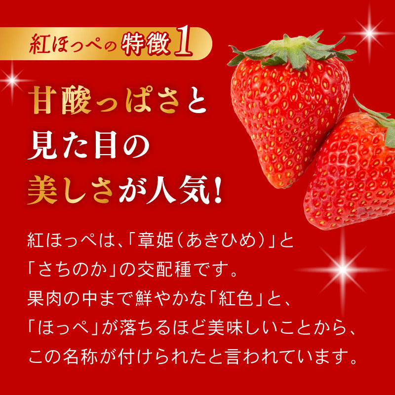 大河原町のいちご 完熟いちご 2パック 果物 フルーツ 苺 紅ほっぺ かおり みずみずしい ジューシー 期間限定 季節限定 家庭用