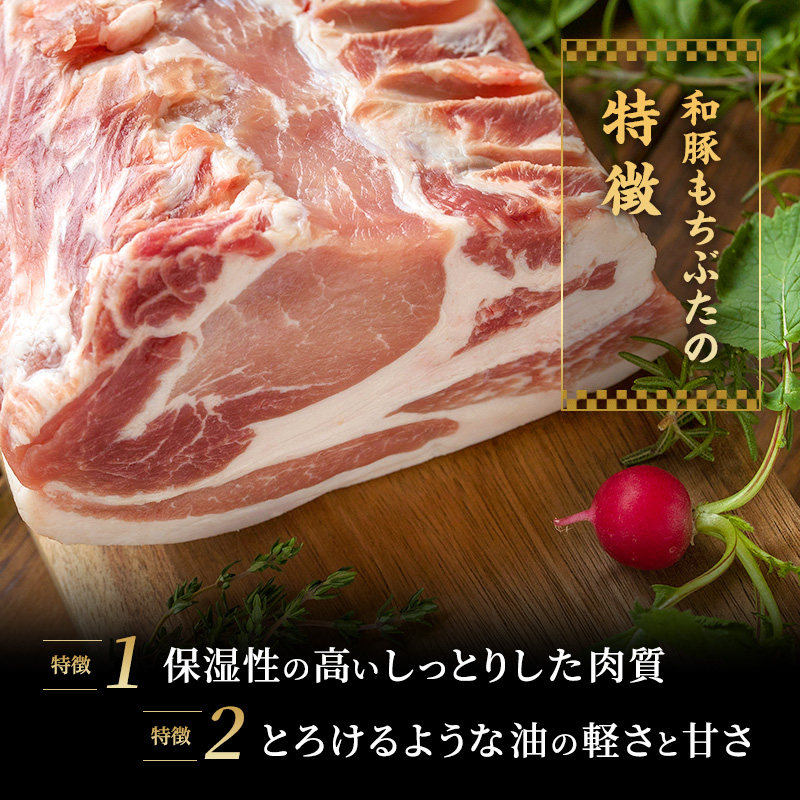 和豚 もちぶた ボロニアソーセージ 300g×2本 和豚 もち豚 豚肉 ポーク お肉 肉 豚 ぶた ブタ 加工肉 アウトドア