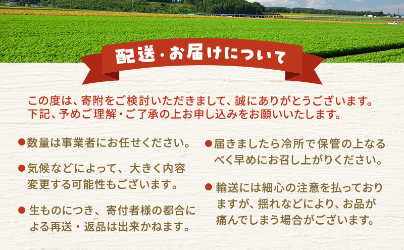 季節の野菜 野菜セットC 5種 キャベツ ブロッコリー さつまいも 長ねぎ 大根 詰合せ 季節 旬 野菜 詰め合せ 国産 産地直送 秋野菜 冬野菜 葉物 冷蔵 野菜室