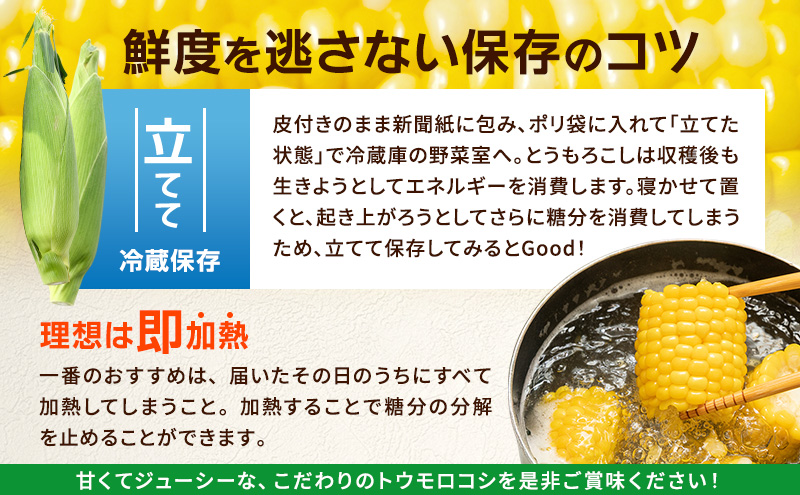 とうもろこし 味来 家庭用 20本 訳アリ トウモロコシ 宮城県産 甘い 夏 朝採れ 訳あり 産地直送 宮城県 大河原町