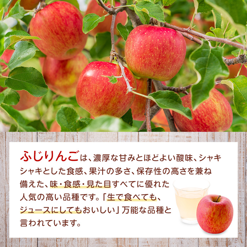 大河原産「ふじ」りんごジュース 300ml×20本 りんご リンゴ 林檎 ジュース りんごジュース リンゴジュース 飲み物 飲料 果実飲料 フルーツ 果物 くだもの ドリンク 大河原町