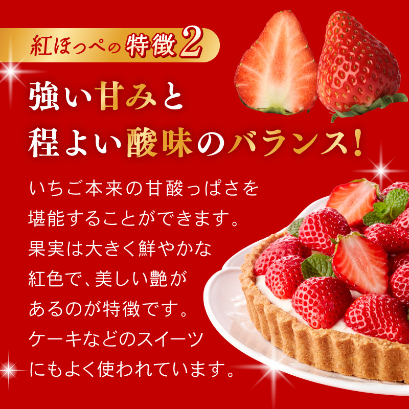 大河原町のいちご 完熟いちご 4パック 果物 フルーツ 苺 紅ほっぺ かおり みずみずしい ジューシー 期間限定 季節限定 家庭用