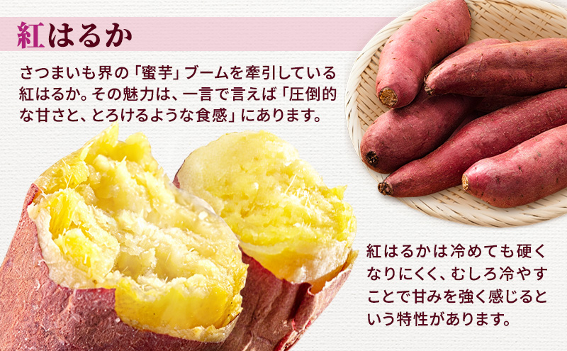 さつまいも 約5kg 紅はるか サツマイモ 宮城県産 甘い 秋 冬 スイーツ いも 産地直送 宮城県 大河原町