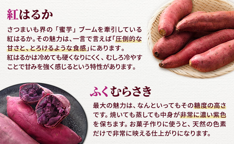 さつまいも 約10kg 2種詰合せ 紅はるか ふくむらさき サツマイモ 宮城県産 甘い 秋 冬 スイーツ 産地直送 宮城県 大河原町