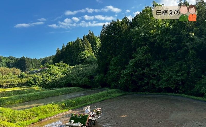 令和7年度産 宮城県大河原町産 みやこがね 2.8kg(1.4kg×2) もち米 餅米  こめ コメ モチ もち もち米 お餅 餅