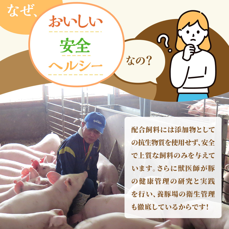 【定期便 6回】しゃぶしゃぶ用 豚バラ すき焼き 和豚 もちぶた 200g×6 (1.2kg) 豚肉 ポーク 肉 豚 国産 宮城県産 小分け バラ肉 豚バラ肉 ストック 精肉