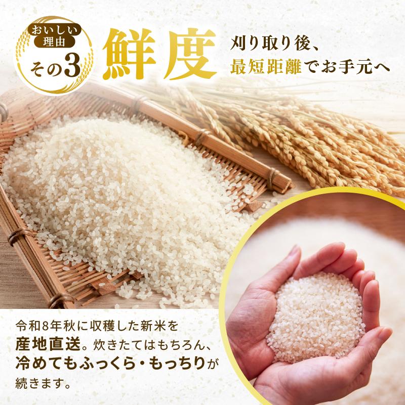 ひとめぼれ 定期便3回/5kg×2袋 令和8年産 新米 先行予約 宮城