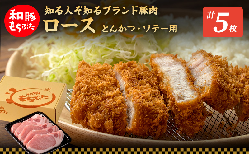 もちぶた ロース 150g × 5枚 ソテー とんかつ 和豚 もち豚 豚肉 ポーク お肉 肉 豚 ぶた ブタ 豚ロース 精肉 アウトドア キャンプ バーベキュー 冷蔵 宮城