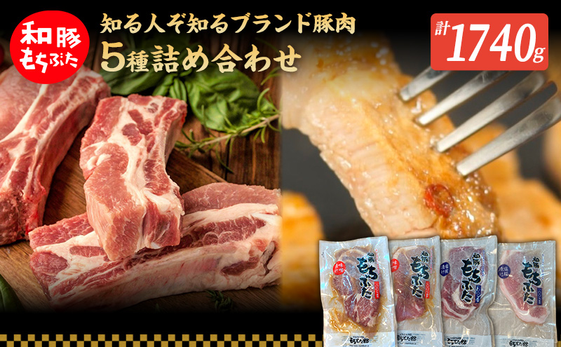 もちぶた 加工品 5種 詰め合わせ セット モモ 肩ロース 味噌漬け 塩糀漬け120g 3パック スペアリブ 300g 和豚 もち豚 豚肉 ポーク お肉 肉 豚 ぶた ブタ ロース もも肉 精肉 加工肉 アウトドア スペシャルキャンペーン