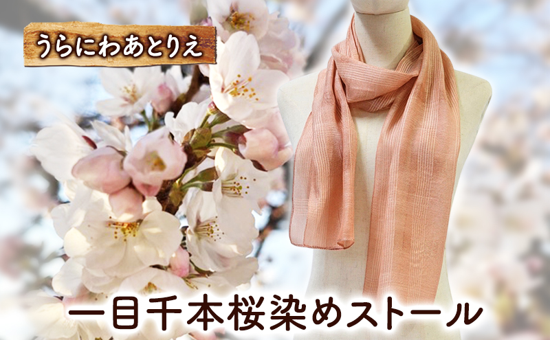 一目千本桜染めストール 桜染め 一目千本桜 ショール シルク ファッション ギフト 贈り物 プレゼント