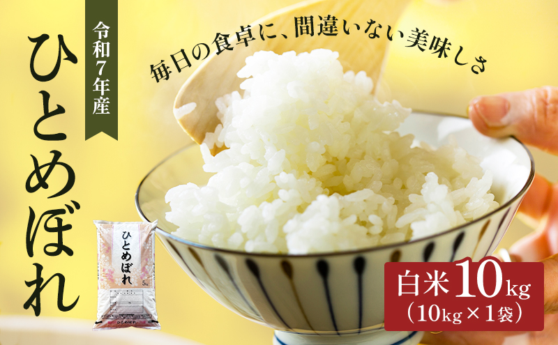 令和7年産 宮城県大河原町産 ひとめぼれ 10kg 米 お米 精米 白米 こめ コメ 令和7年 宮城県産