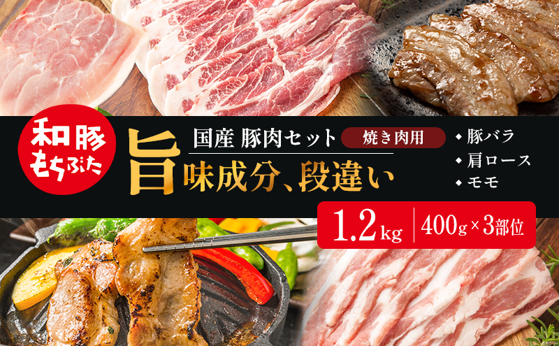 和豚もちぶた お試しセット 焼肉用 1200g 400g×3部位 3～4人世帯向け 豚バラ 肩ロース モモ