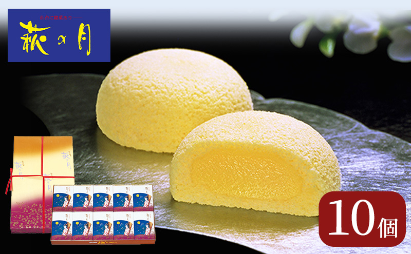 萩の月 10個入り 仙台銘菓 定番 お土産 菓匠三全 和菓子 洋菓子 和洋菓子 お菓子 生菓子 銘菓 ギフト 宮城