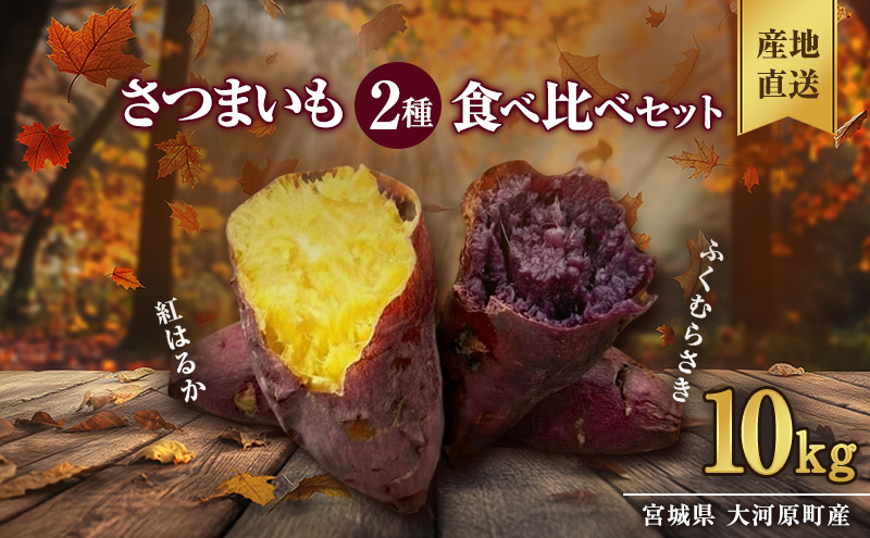 さつまいも 約10kg 2種詰合せ 紅はるか ふくむらさき サツマイモ 宮城県産 甘い 秋 冬 スイーツ 産地直送 宮城県 大河原町