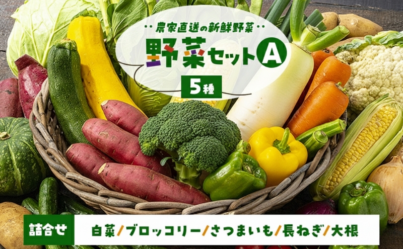 季節の野菜 野菜セットA 5種 白菜 ブロッコリー さつまいも 長ねぎ 大根 詰合せ 季節 旬 野菜 詰め合せ 国産 産地直送 秋野菜 冬野菜 葉物 冷蔵 野菜室