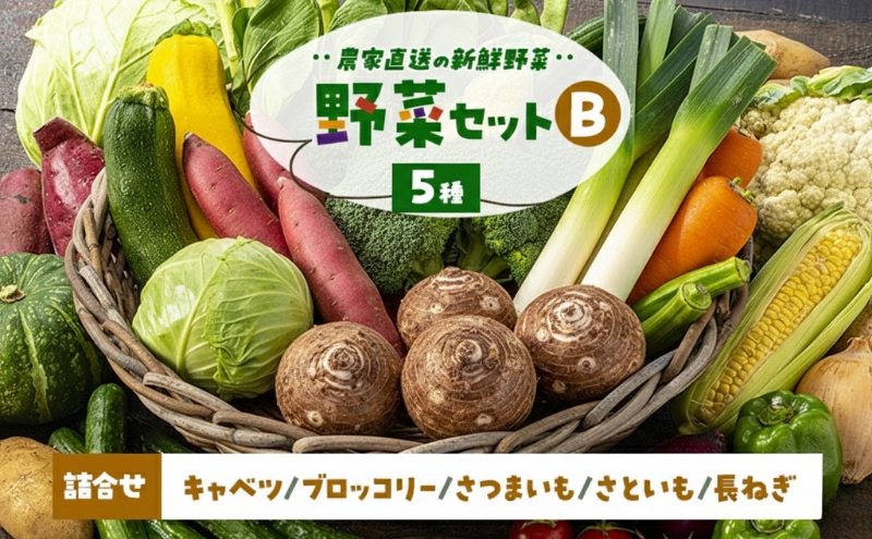 季節の野菜 野菜セットB 5種 キャベツ ブロッコリー さつまいも さといも 長ねぎ 詰合せ 季節 旬 野菜 詰め合せ 国産 産地直送 秋野菜 冬野菜 葉物 冷蔵 野菜室