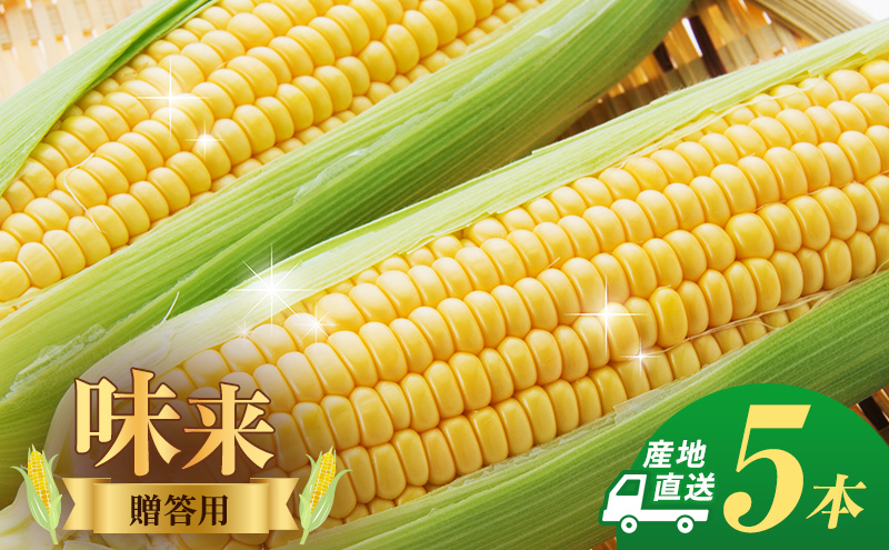 とうもろこし 味来 贈答用 5本 トウモロコシ 宮城県産 甘い 夏 朝採れ 産地直送 宮城県 大河原町