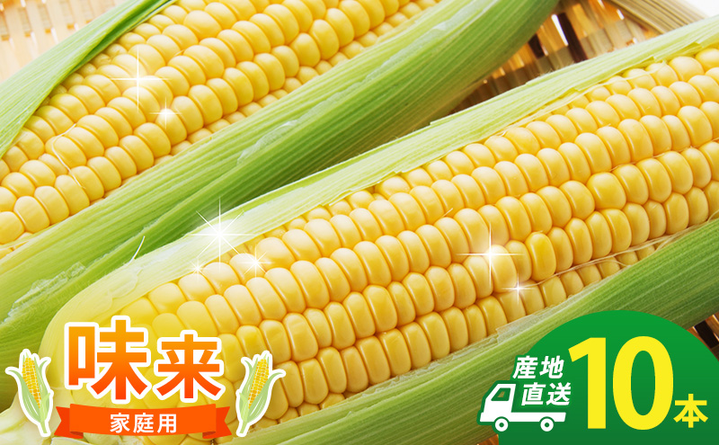 とうもろこし 味来 家庭用 10本 訳アリ トウモロコシ 宮城県産 甘い 夏 朝採れ 訳あり 産地直送 宮城県 大河原町