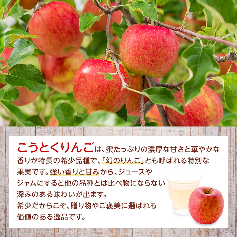 大河原産 「 こうとく 」「 ふじ 」 りんご ジュース 300ml 6本 飲み比べ セット リンゴ 林檎 ジュース りんごジュース リンゴジュース 飲み物 飲料 果実飲料 フルーツ 果物 くだもの ドリンク 大河原町