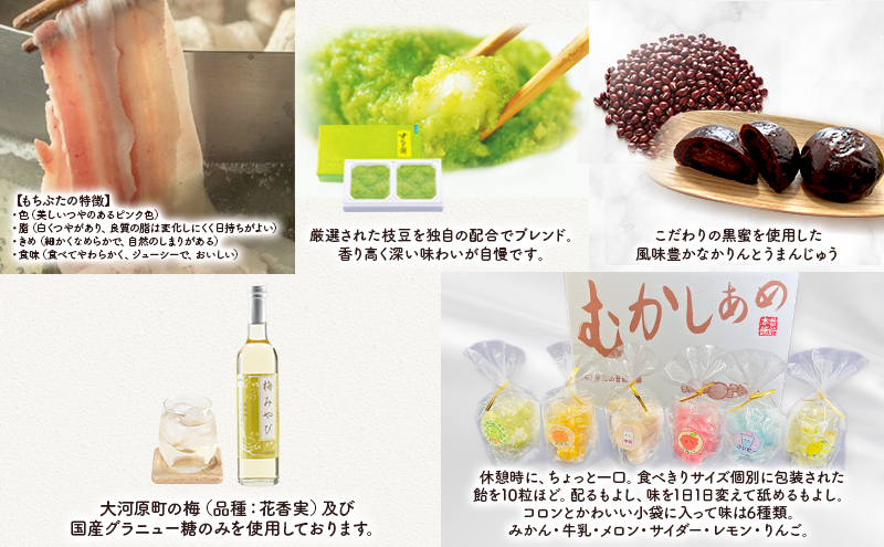 【先行受付・2026年3月より各月出荷】【8ヵ月定期便】全8回 大河原町厳選セット もちぶた 萩の月 ずんだ餅 かりんとう まんじゅう 梅 シロップ 飴 ゆず バスクチーズケーキ ハム ソーセージ 角煮