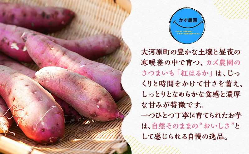 大河原町産紅はるかジェラート5個