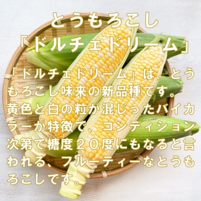 【先行受付2026年】とうもろこし　ドルチェドリーム　約3.0kg　数量限定【配送不可地域：離島】