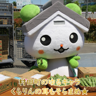 【先行受付2026年】そらまめ 約4kg Mサイズ 宮城県村田町産【配送不可地域：離島】