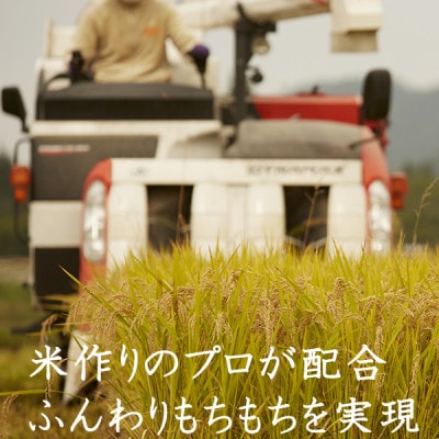 宮城ふるさと応援米 精米10kg ◆宮城県産　米・雑穀のみちのく農業研究所