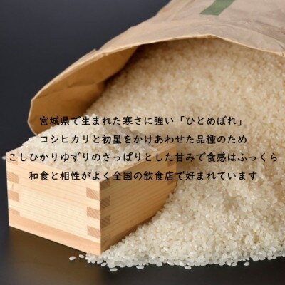 令和7年産 ひとめぼれ 玄米30kg 宮城県村田町産