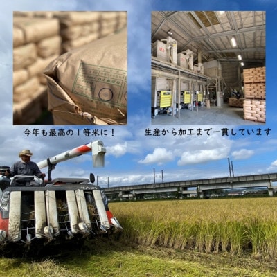 【毎月定期便】【数量限定】宮城県村田町産ひとめぼれ 精米 10kg(5kg×2袋)全6回