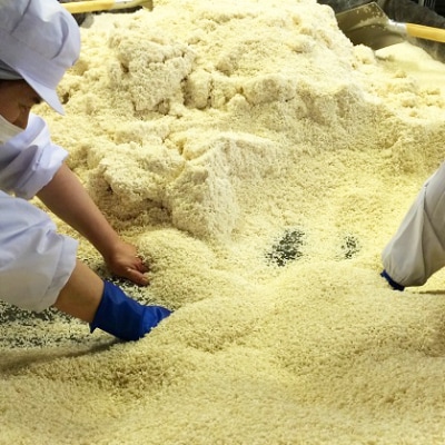 桜中味噌店　蔵出し味噌の赤樽詰め 4kg【配送不可地域：離島】