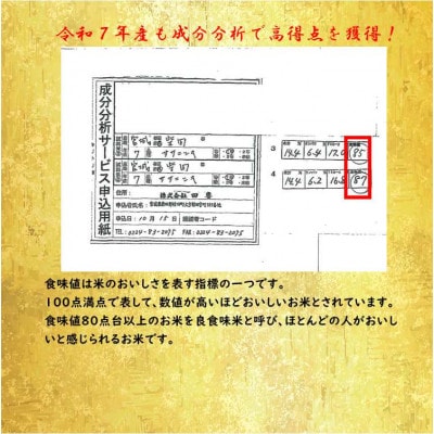 令和7年産 ササニシキ 精米10kg(5kg×2) 宮城県産