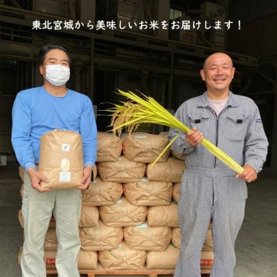 【毎月定期便】【数量限定】宮城県村田町産ひとめぼれ 精米 10kg(5kg×2袋)全6回