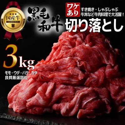 【訳あり】宮城県産黒毛和牛 3.0kg(500g×6)部位厳選切り落とし すき焼き・しゃぶしゃぶ用【配送不可地域：離島】