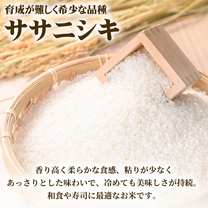 【令和7年産 新米】ササニシキ 精米 合計6kg(2kg×3袋) 柴田町産 お米 おこめ 米 コメ 白米 ご飯 ごはん おにぎり お弁当 【しばたの未来株式会社】sh013