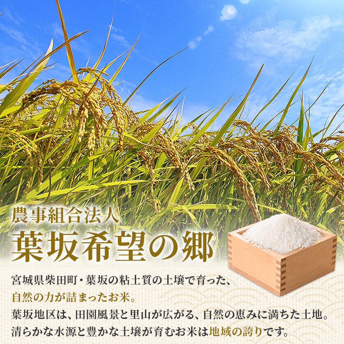 【令和7年産 新米】ササニシキ 精米 計10kg（5kg×2袋） 柴田町産 お米 おこめ 米 コメ 白米 ご飯 ごはん おにぎり お弁当 【農業組合法人葉坂希望の郷】sh107