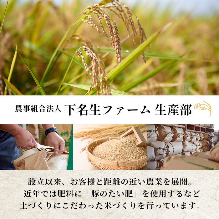 【令和7年産】柴田町産 つや姫 ＜玄米＞ 30kg お米 おこめ 米 コメ 白米 つやひめ ご飯 ごはん おにぎり 宮城米 令和7年産 お弁当 【下名生ファーム】 sh124
