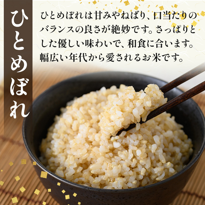 【令和7年産】柴田町産 ひとめぼれ ＜玄米＞ 30kg お米 おこめ 米 コメ 白米 ご飯 ごはん おにぎり 宮城米 令和7年産 お弁当 【下名生ファーム】 sh123