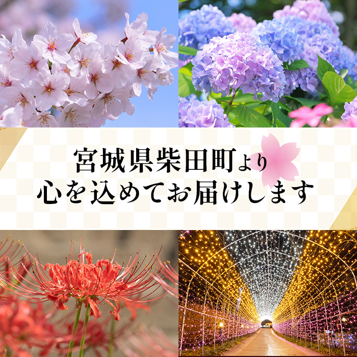 花と歴史の香る柴田町 ぶらりまち歩き 船岡編(2名様) 体験 観光 散策 ガイドツアー 【しばたの未来】sh018