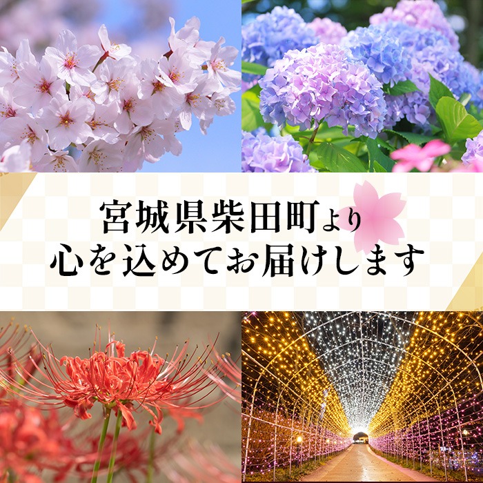 惣菜の素 お野菜まる だし小鍋つゆの素 食べ比べ（〆めし付き） たたききゅうり 塩キャベツ ナムル 塩味調味料 だし 出汁 たれ 一品料理 鍋 鍋つゆ 鍋スープ 地鶏塩ちゃんこ 寄せ鍋 かき醤油鍋 帆立はまぐり塩鍋 マルトモ海幸倶楽部 【しばたの未来】sh023