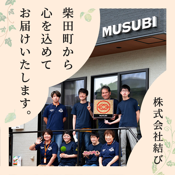 モスインテリア「リス」(スプリンググリーン) ＜横200mm・高さ200mm・幅15mm＞ 観葉植物  苔 コケ テラモス インテリア 植物 【結び】 sh028-A
