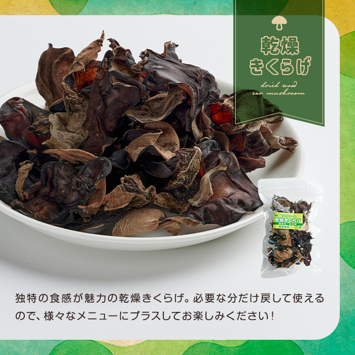 乾燥しいたけセット 乾燥椎茸 乾燥しいたけ 椎茸 シイタケ どんこ 木耳 キクラゲ きのこ キノコ 煮物 炊き込みご飯 お味噌汁 便利 【ほっとファーム株式会社】 sh036